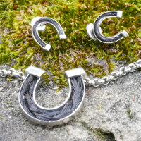 Hufeisen, Schmuckset-Pferdehaarschmuck, Edelstahl zum Einlegen von Pferdehaar