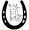 Symbol 15