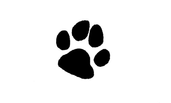 Symbol 3 Pfote